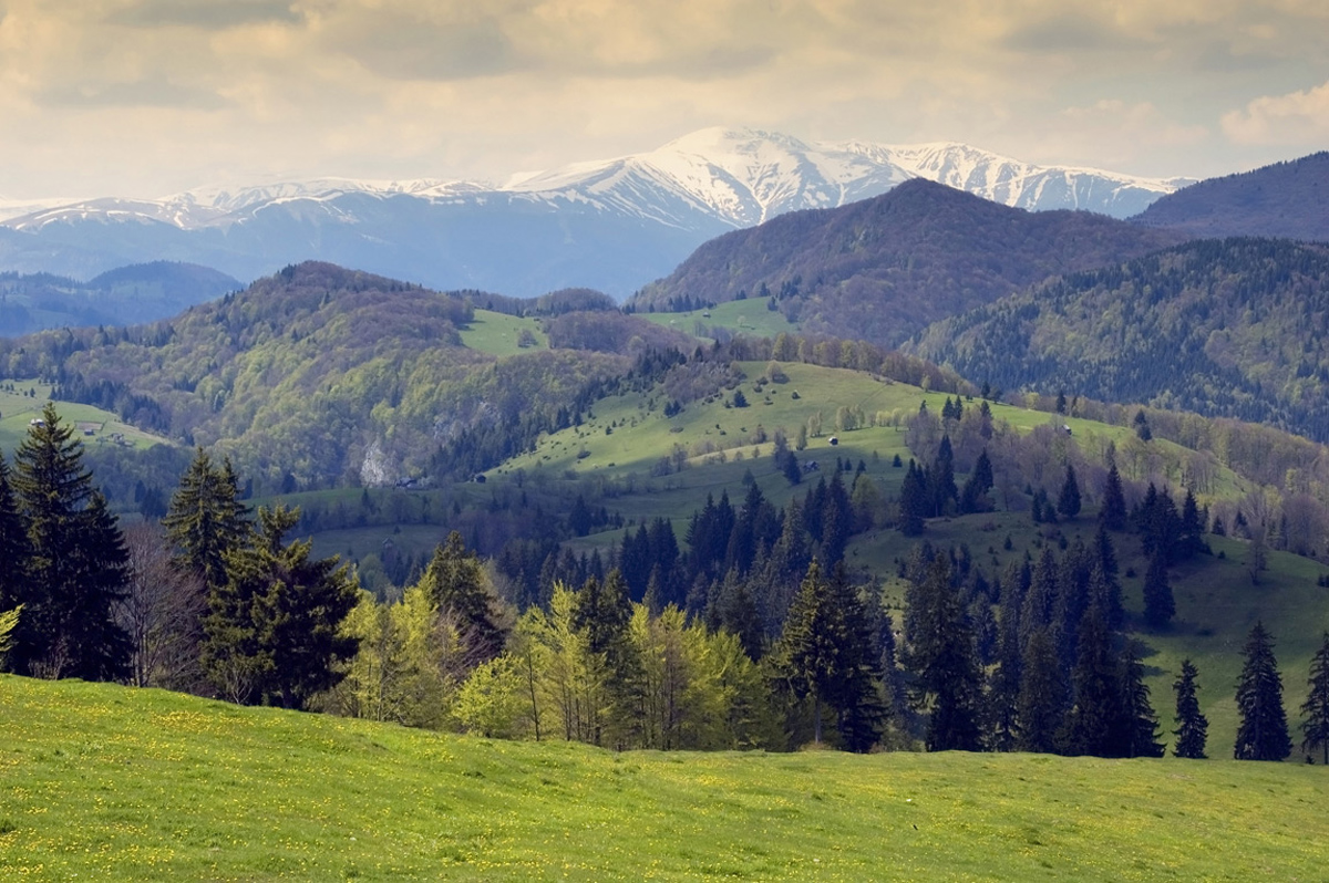 Зона румынии